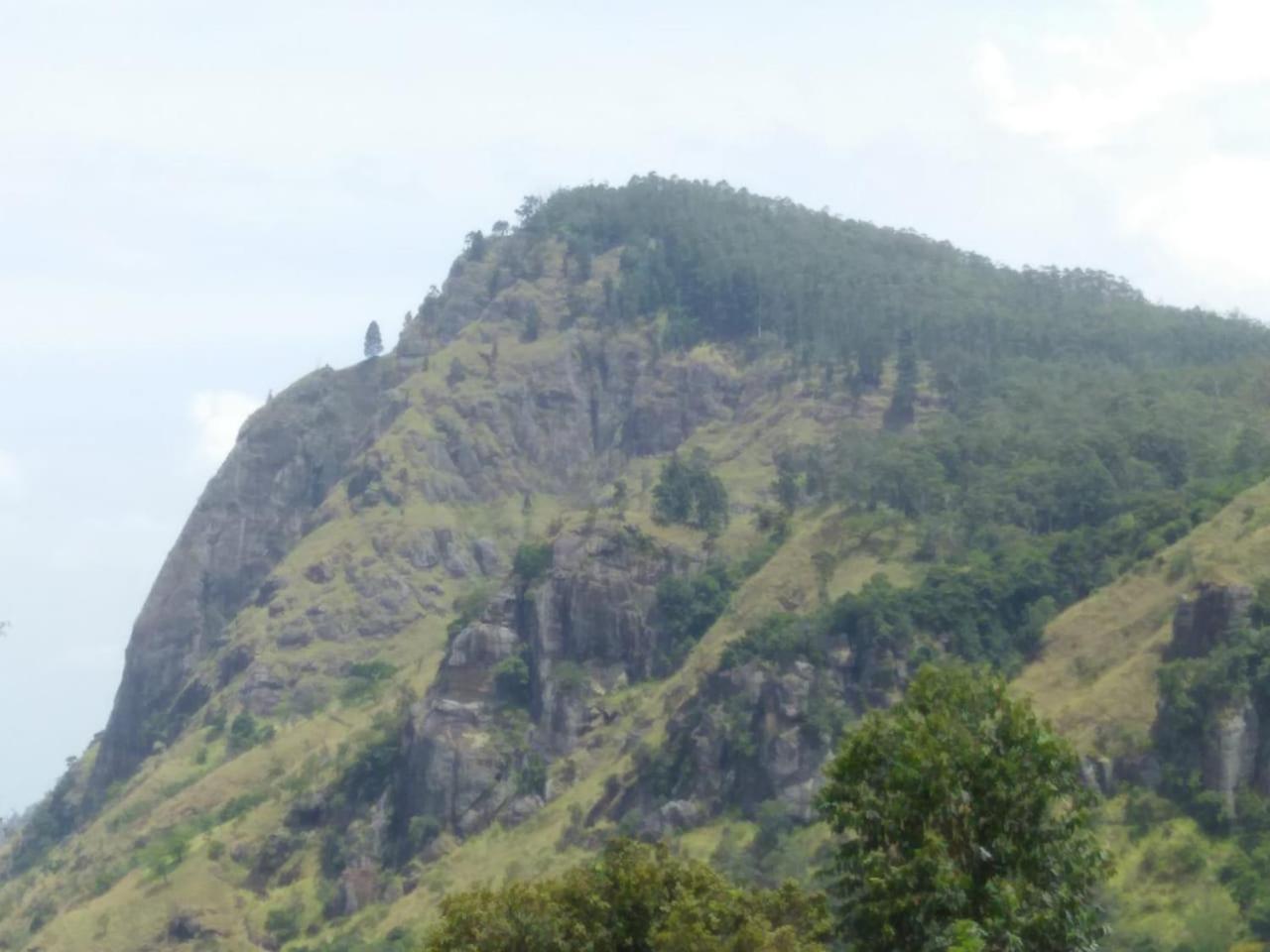 Green View Элла Экстерьер фото